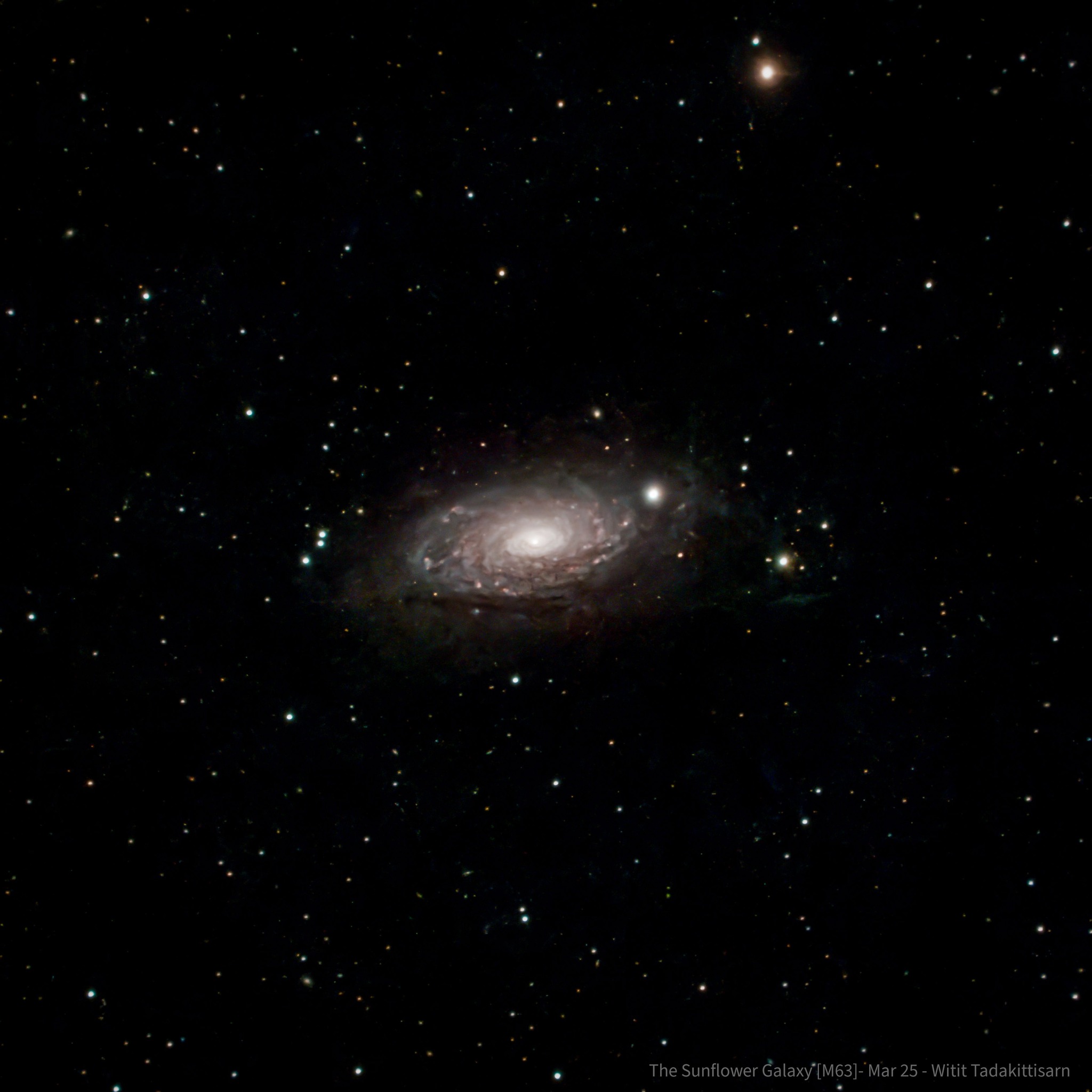 Sunflower Galaxy